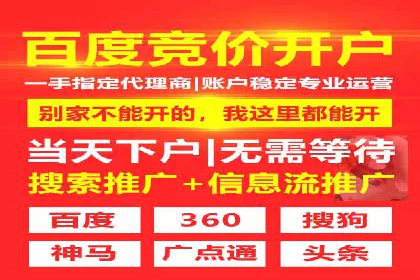 专业SEM运营托管服务案例分析