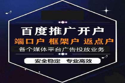 某行业领军企业的SEM广告投放策略